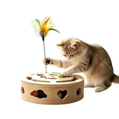 Wooden Cat Toy, Maze Puzzle Box, Interactive Play
