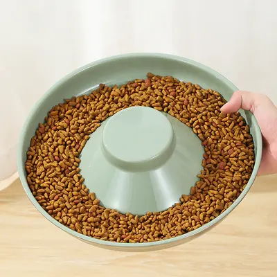 Anti-Choking Slow Feeding Dog and Cat Bowl, Non-Tip