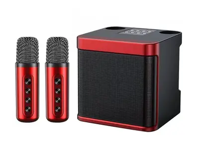 YS203K Karaoke Speaker with Wireless Bluetooth and Dual Microphones - 9
