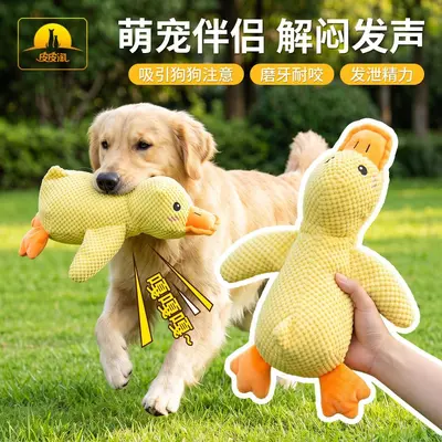 Haustier-Enten-Kauspielzeug mit Quietscher, Plüsch - 3