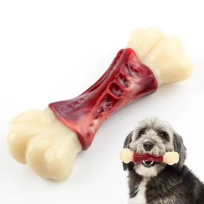 Bone-Shaped Dog Chew Toy, Teeth Cleaning Interactive Training Toy - 2