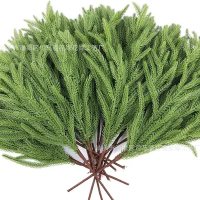 Yapay rattan Norfolk çamı duvar dekoru, Noel süsü