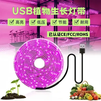 Sınır ötesi bitki büyüme lambası bitki lambası dolgu ışığı tam spektrum su geçirmez led lamba usb ile ev etli sebze tohumları