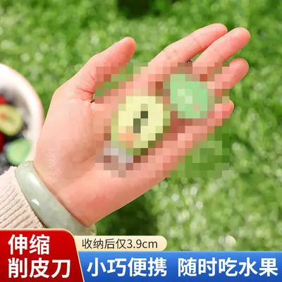 便携水果削皮刀随身户外露营办公室不锈钢可伸缩水果刮皮器 - 3