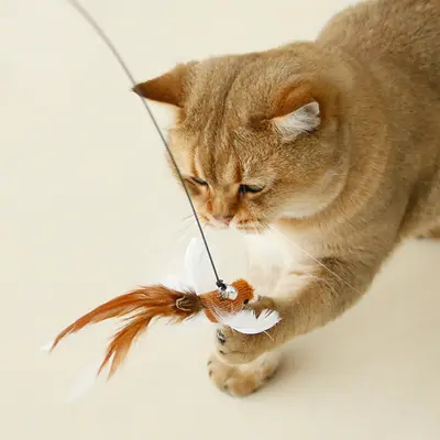 Katzenangel mit simuliertem Vogel, langer Stab, Federersatzkopf - 3