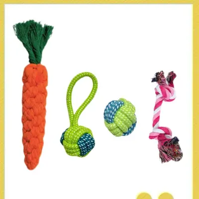 Chew-Resistant Cotton Rope Dog Toy Set for Small and Medium Dogs - 9