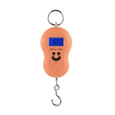Electronic portable scale with backlight