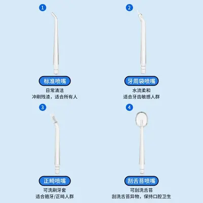 Portable Electric Water Flosser - 4