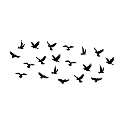 Seagull Bird Wall Sticker Set, Removable Electrostatic Film, PH1238