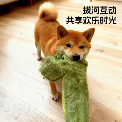 Hundespielzeug Krokodil mit Quietscher, robust, Leckerli-Versteck - 5