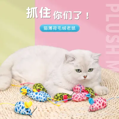 Manufacturer New Plush Simulation Little Mouse Cat Toy Catnip Mouse Scratch-Resistant Bite-Resistant Interactive Pet Supplies