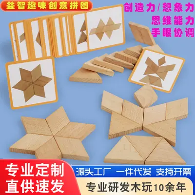 Wooden Thinking Block Puzzle, Geometric Logic and Spatial Intelligence Toy