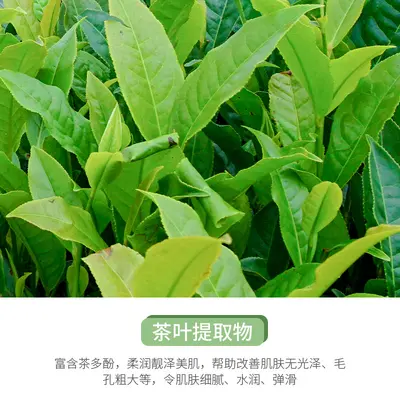 泊泉雅绿茶清黑头鼻膜 净透清洁毛孔去黑头粉刺 t区护理鼻贴批发