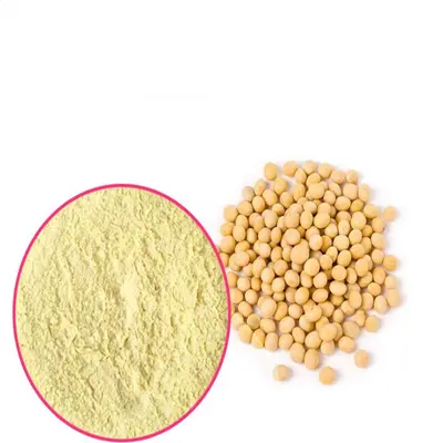 山松大豆分离蛋白 食品级蛋白粉 大豆分离蛋现货批发