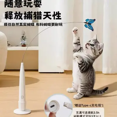 逗猫棒猫玩互动自嗨互动夜光效果仙人掌智能宠物玩具猫狗通用热销 - 4