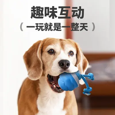 Akıllı elektrikli köpek oyunu topu, eğitim ve çiğneme