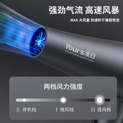 Blue Light High-Power Hair Dryer, Multi-Level Settings, Overheat Protection