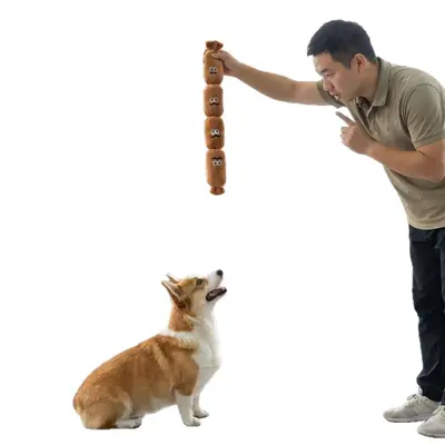 Plush Sausage Dog Toy, Squeaky, Sniffing