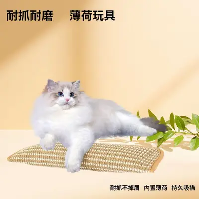 猫玩具猫薄荷抱枕自嗨磨牙耐咬洁牙猫糖果自嗨解闷黄麻猫抓板用 - 2