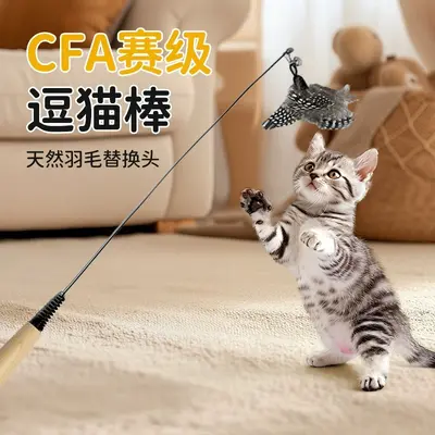 Cat Teaser Wand with Spotted Feather Replacement Head, Chew-Resistant - 2