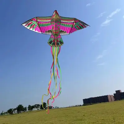 Rainbow Phoenix Kite for Adults, with Front Pole - 8