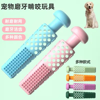 Diş Macunu Şekilli TPR Köpek ve Kedi Çiğneme Oyuncağı Seti