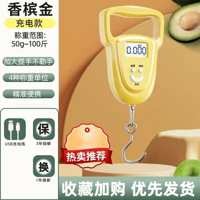 Precision portable mini electronic handheld scale