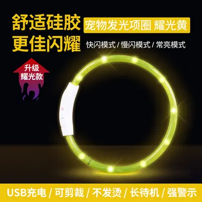 Rechargeable Light-Up Collar for Dogs and Cats - 11