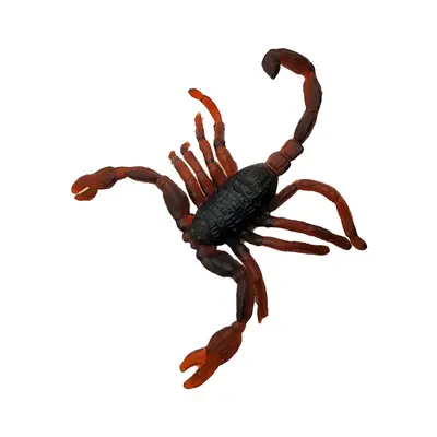 Simulated Insect Toys, Fake Cockroaches, Scorpions, Centipedes and Flies