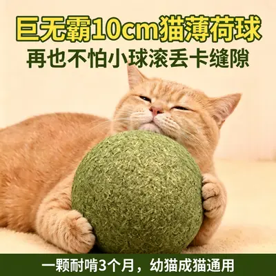 Kedi Oyuncağı 10cm Dev Nane Topu Isırmaya Dayanıklı Diş Kaşıma Çubuğu - 1