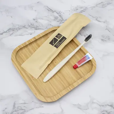 Disposable Hotel Toothbrush and Toothpaste Amenity Set - 12