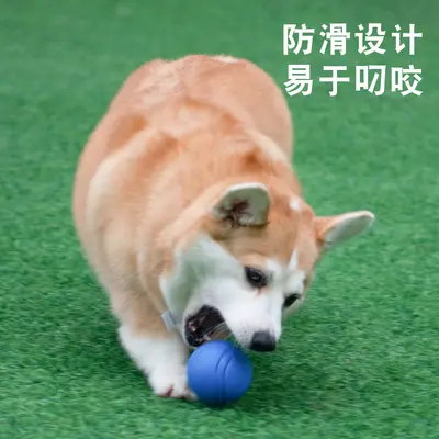 Elastischer Hundeball aus massivem Gummi, bissfest und zahnfleischschonend