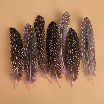 Colorful Pearl Nest and Feather Dots for DIY Jewelry and Dream Catcher - 9