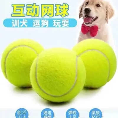 Dog Ball, Durable Rubber Tennis Ball for Training and Teething - 1