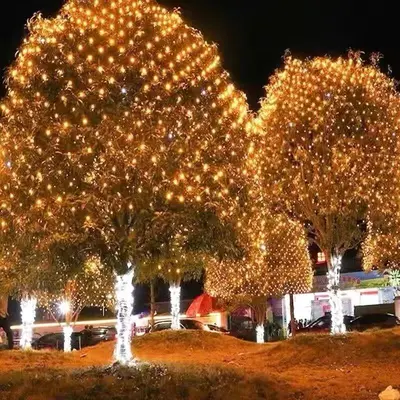 Dış Mekan LED Ağ Işıkları, Yıldızlı Noel Işıkları, Düğün Dekor Işıkları