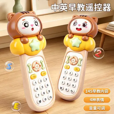 Sound and light bilingual remote control toy