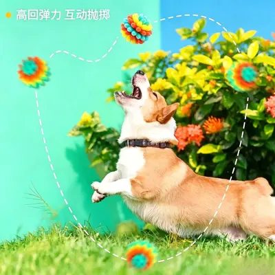 Köpek Oyuncak Topu, Dayanıklı Diş Kaşıma Oyuncağı, Labrador İçin - 3
