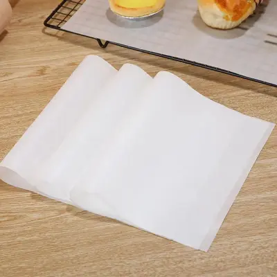 Yağlı kağıt pişirme yüksek sıcaklığa dayanıklı silikon yağlı kağıt gıda sınıfı yağ emici kağıt dikdörtgen barbekü yapışmaz fırın pişirme tavası tepsisi kağıdı