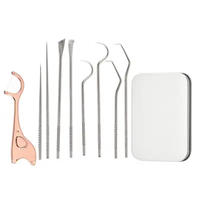 Stainless steel 304 toothpicks and titanium alloy dental floss set