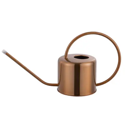 Retro Stainless Steel Watering Can, Large Capacity, Long Spout - 12