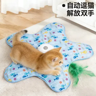 Cat Hunting Hideaway Toy with Automatic Turntable - 6