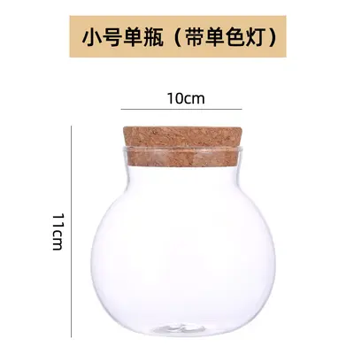 High Borosilicate Glass Hydroponic Plant Bottle, Desktop Vase and Betta Tank - 10
