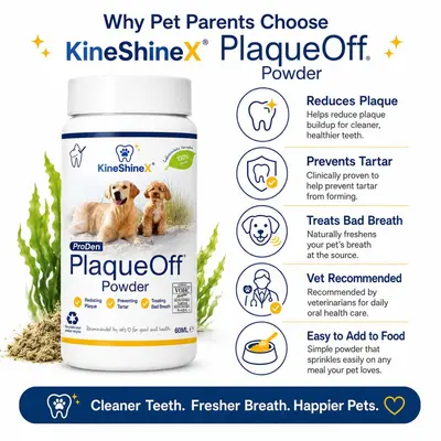 KineShineX Evcil Hayvan Diş Temizleme Tozu, Mamaya Karıştırılır, Kedi ve Köpekler İçin