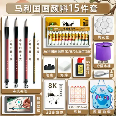 Marley Chinese Painting Pigment Set for Beginners, Ink Paint - 10