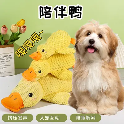 Peluş Ördek Köpek Oyuncağı, Çiğneme ve Ses Çıkaran, Küçük ve Orta Irk - 5