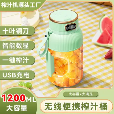 Large capacity portable fruit juicer - 3