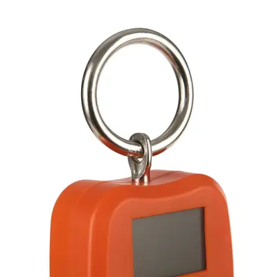 High-Precision Industrial Hook Scale 200 kg, Portable Digital Crane Scale
