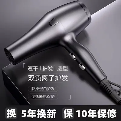 Professional Negative Ion Hair Dryer with High Airflow