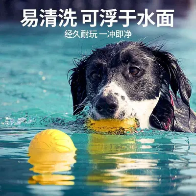 宠物玩具咬不烂狗狗飞盘狗玩具自嗨解闷宠物球小狗用品狗拉环EVA