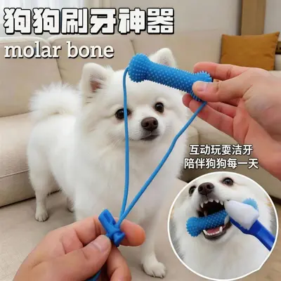 Köpekler için diş fırçalama yardımcısı, kauçuk çiğneme oyuncağı, diş taşı giderici - 2